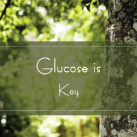 Glucose is Key Glucose is Key